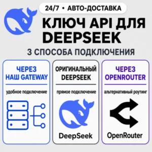 شارژ API دیپسیک DeepSeek